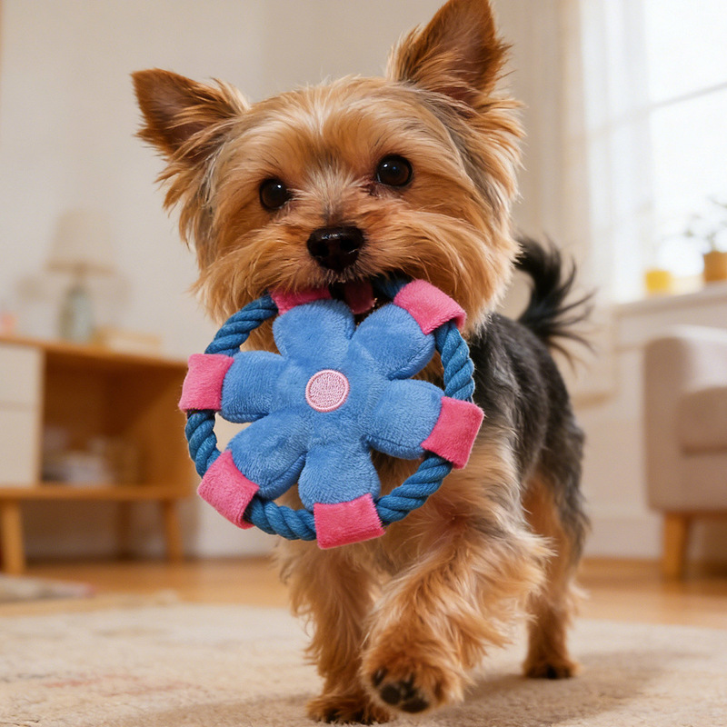 Pet Supplies Wholesale - Cartoon Flower Cotton Rope Frisbee Dog