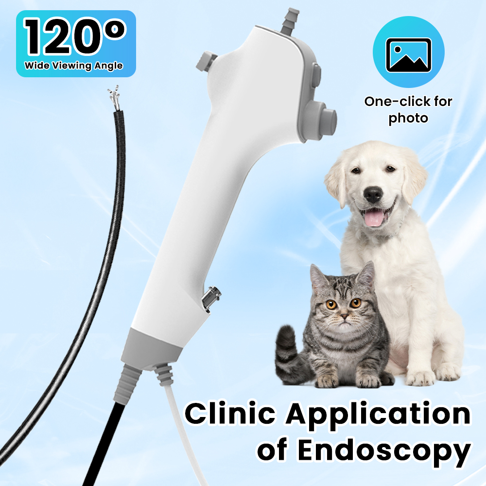Pet Supplies Delivery - Disposable ENT Veterinary Endoscope Camera Multi-function