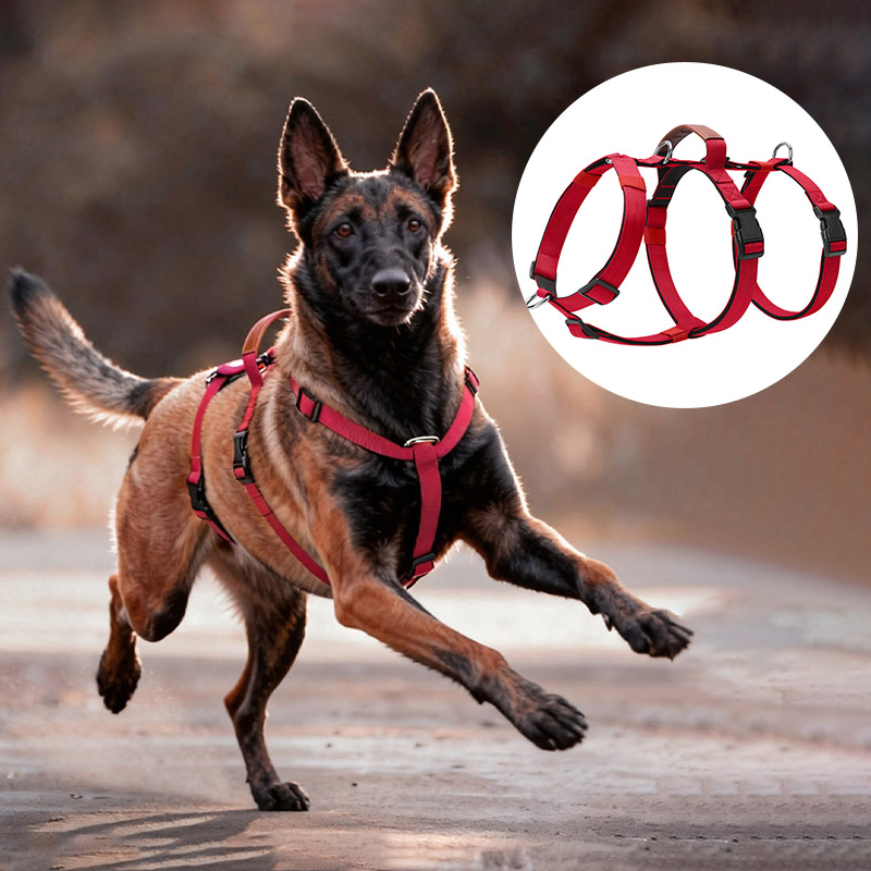 Escape-Proof Nylon Dog Harness - огляд і ціна No Pull Dog Harness