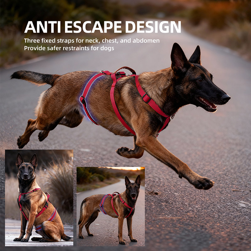 Escape-Proof Nylon Dog Harness - огляд і ціна No Pull Dog Harness