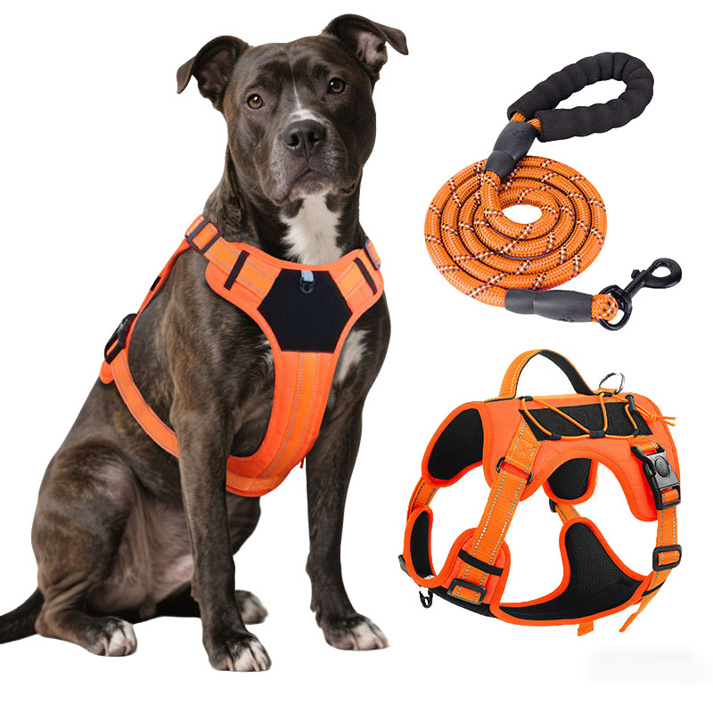 Dog Harness and Leash Set for  - огляд і ціна No Pull Dog Harness