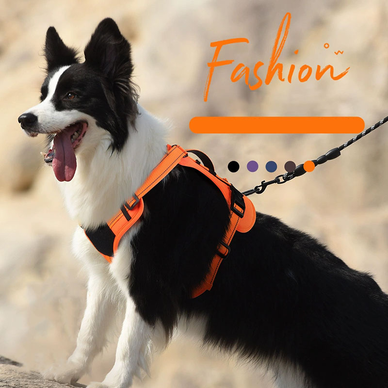 Dog Harness and Leash Set for  - огляд і ціна No Pull Dog Harness