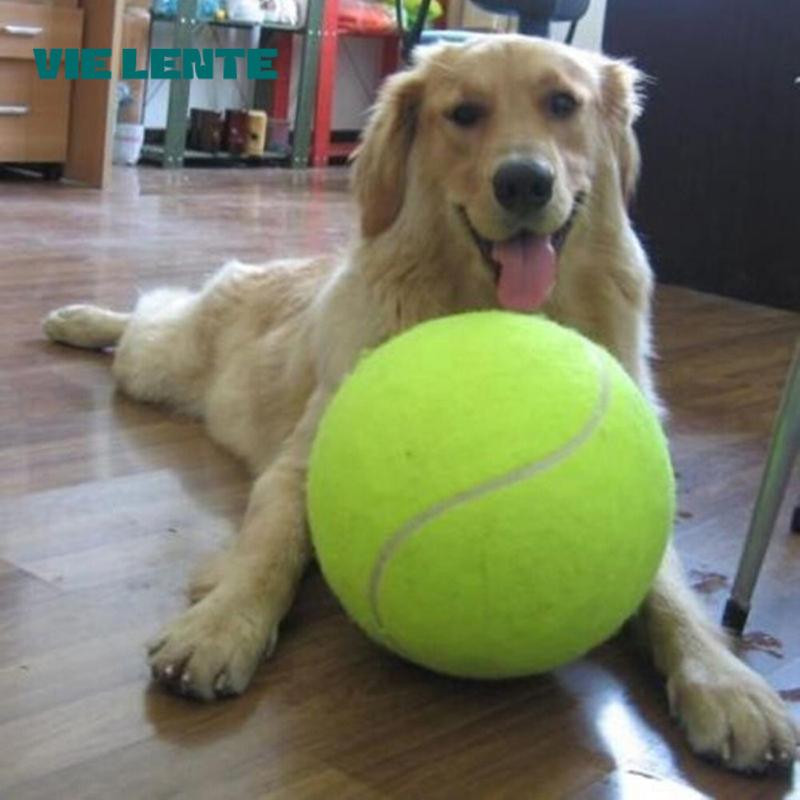 7/8/9.5Inch Dog Tennis Ball Gi - огляд і ціна Pet Supplies In Bulk