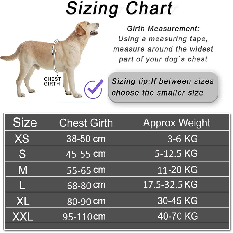Dropshipping Dog Harness Vest  - огляд і ціна No Pull Dog Harness