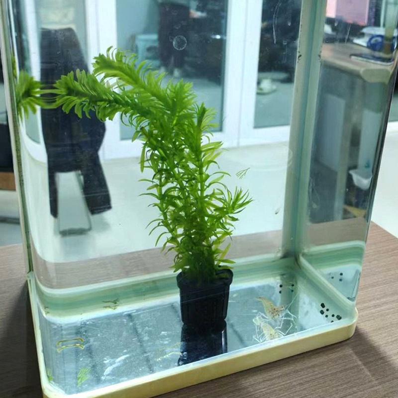 4Pcs Pet Fish Tank Landscaping - огляд і ціна Aquarium Fish Tank
