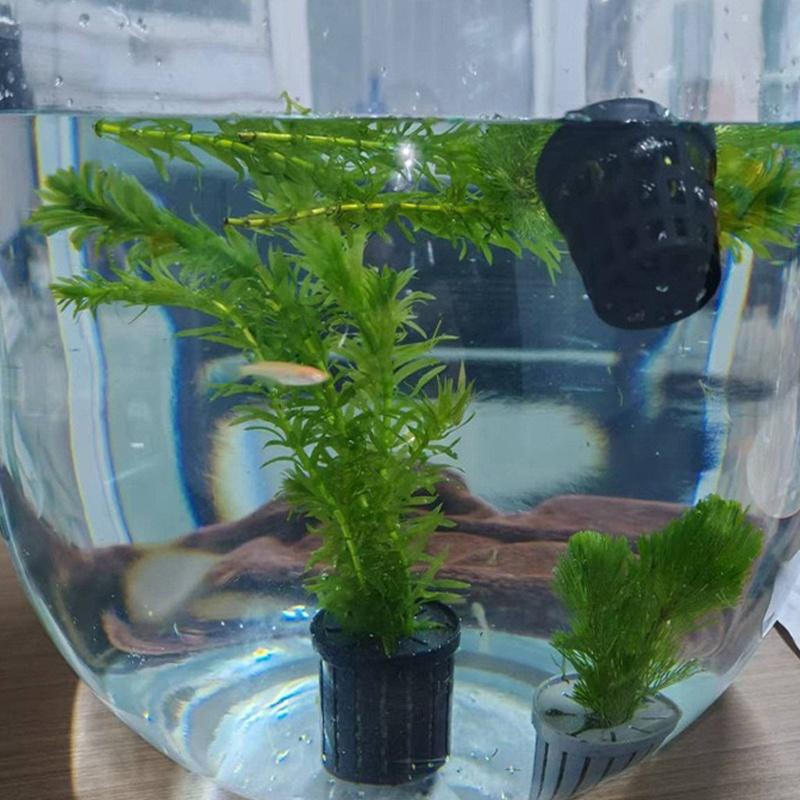 4Pcs Pet Fish Tank Landscaping - огляд і ціна Aquarium Fish Tank