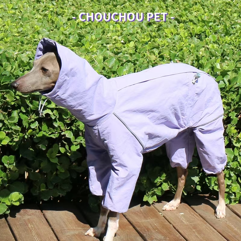 Italian Greyhound Raincoat Aut - огляд і ціна Dog Raincoat