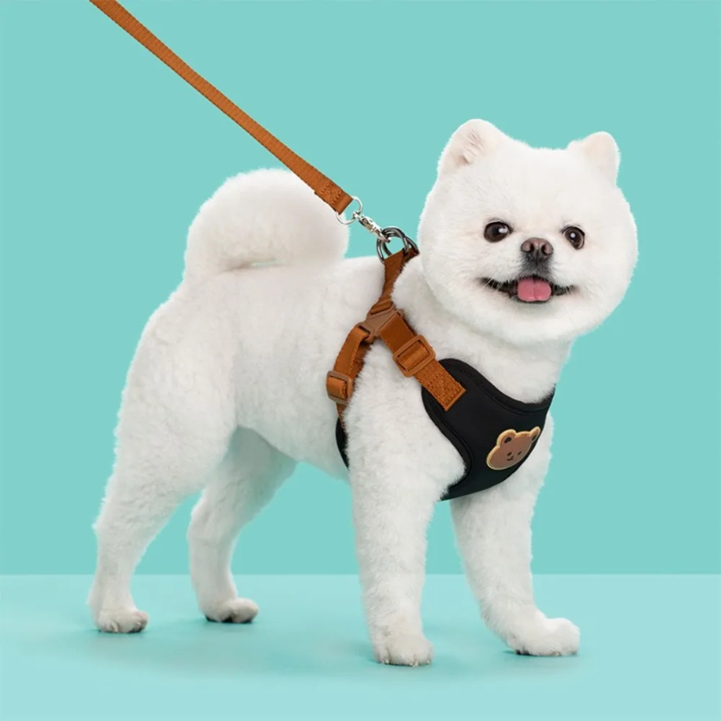 Creative Cute Pet Harness Leas - огляд і ціна No Pull Dog Harness