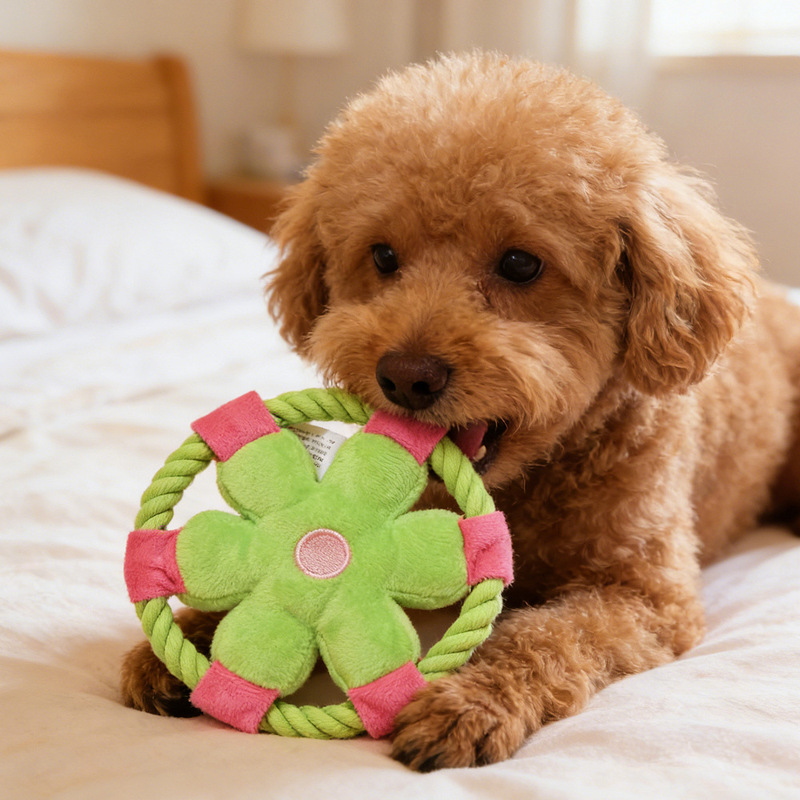 Cartoon Flower Cotton Rope Fri - огляд і ціна Pet Supplies Wholesale