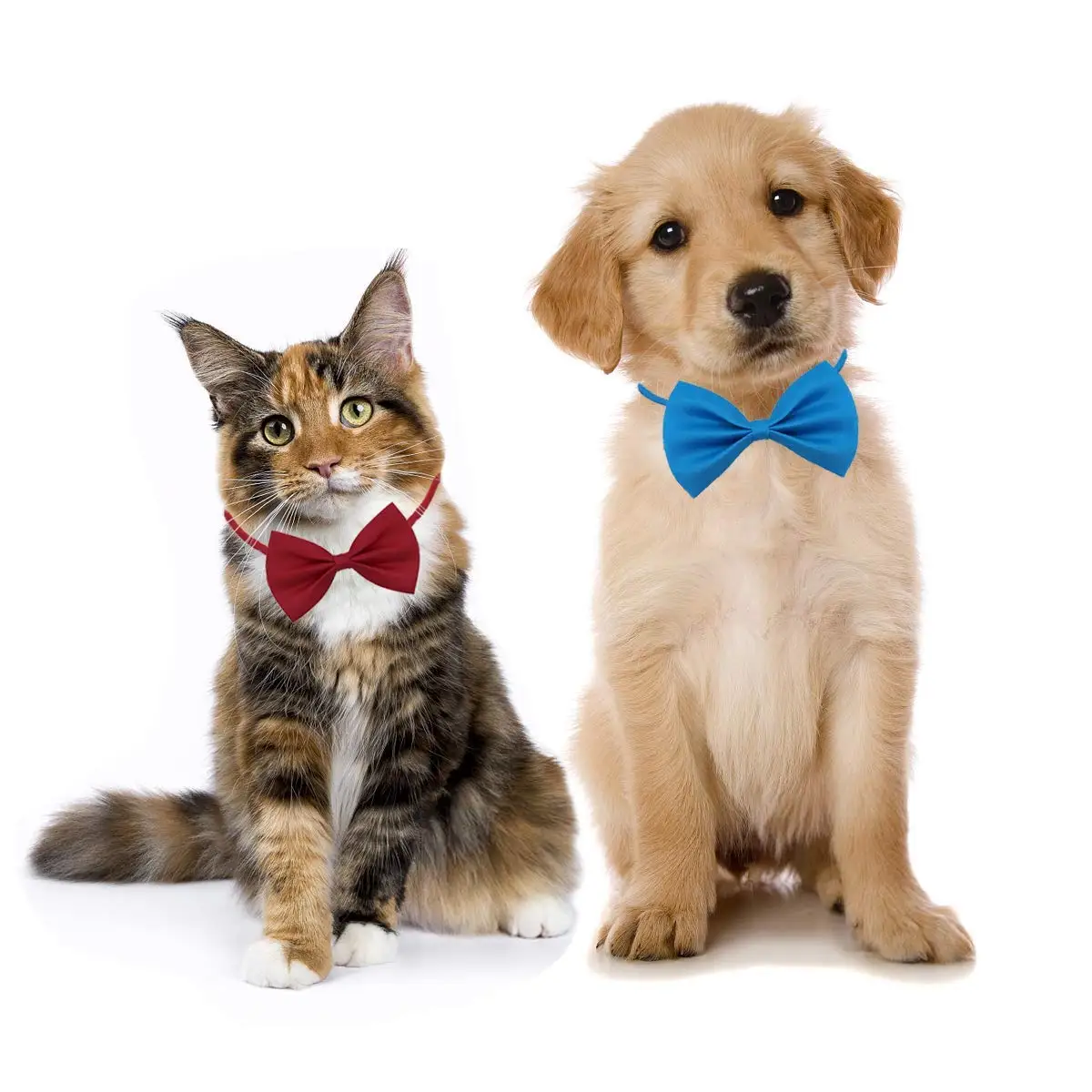 50/100pcs Dog Bows Mix Colors  - огляд і ціна Pet Supplies Wholesale