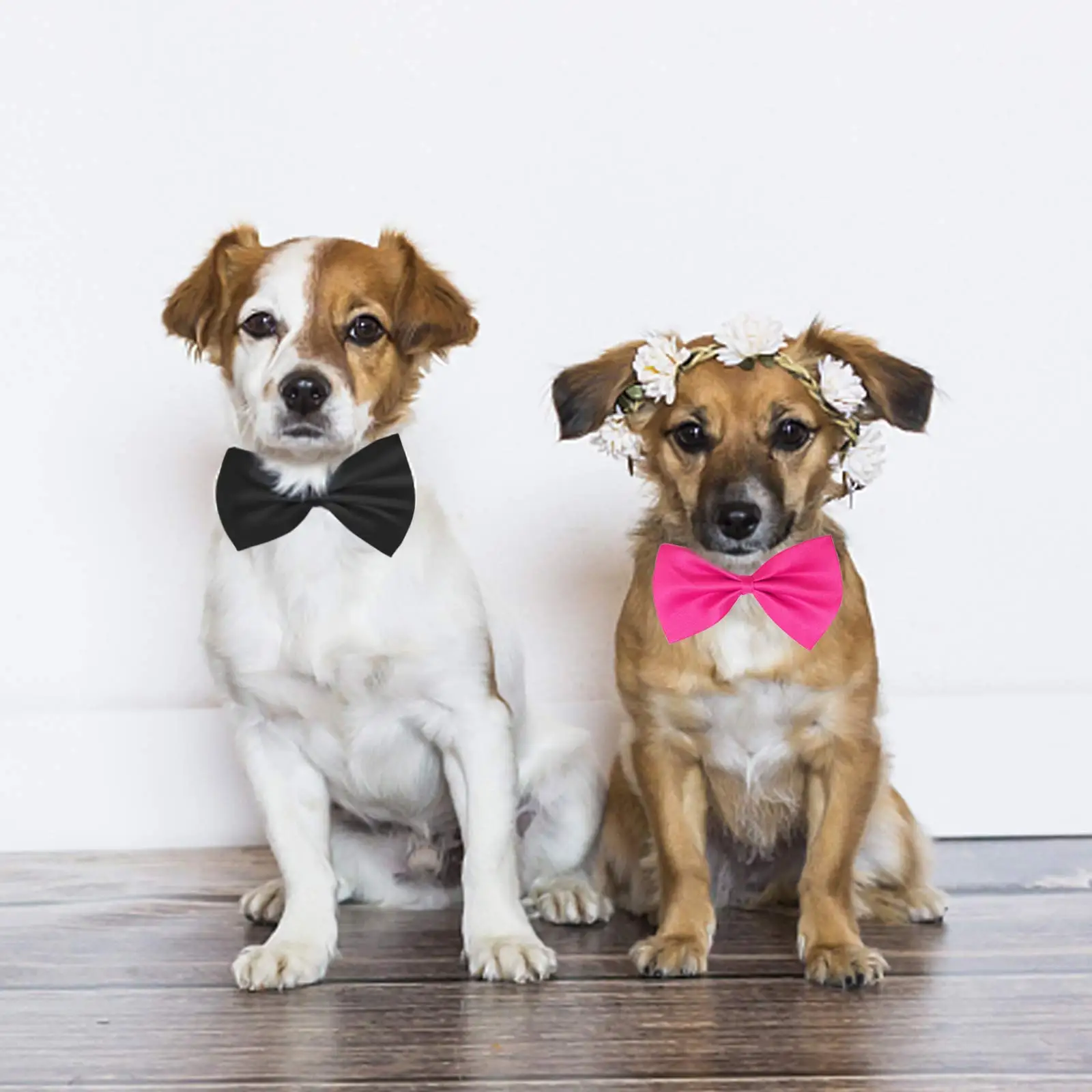 50/100pcs Dog Bows Mix Colors  - огляд і ціна Pet Supplies Wholesale