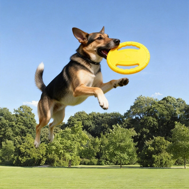 EVA Dog Flying Disc Handle Bit - огляд і ціна Pet Supplies Wholesale