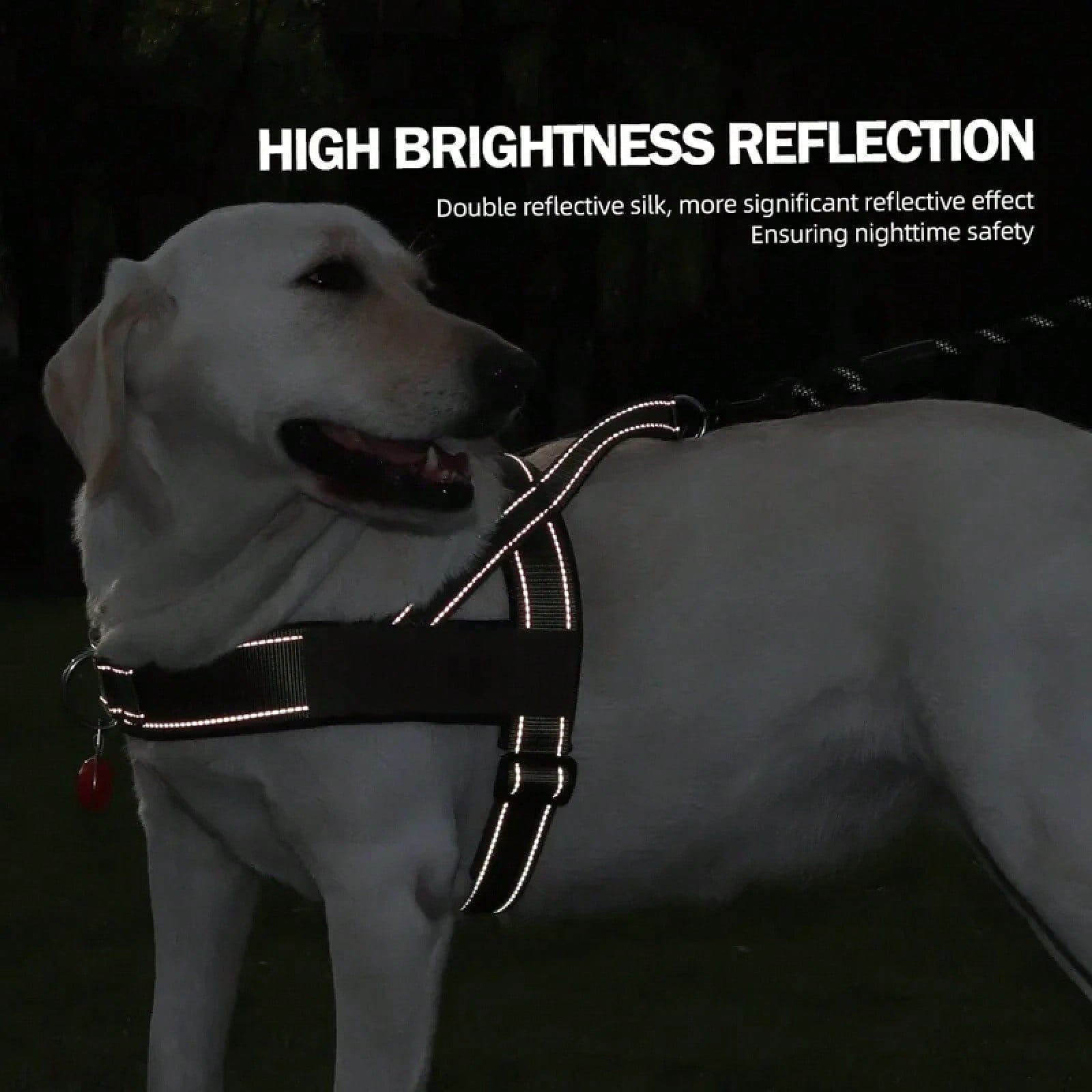 Heavy Duty No-Pull Dog Harness - огляд і ціна No Pull Dog Harness