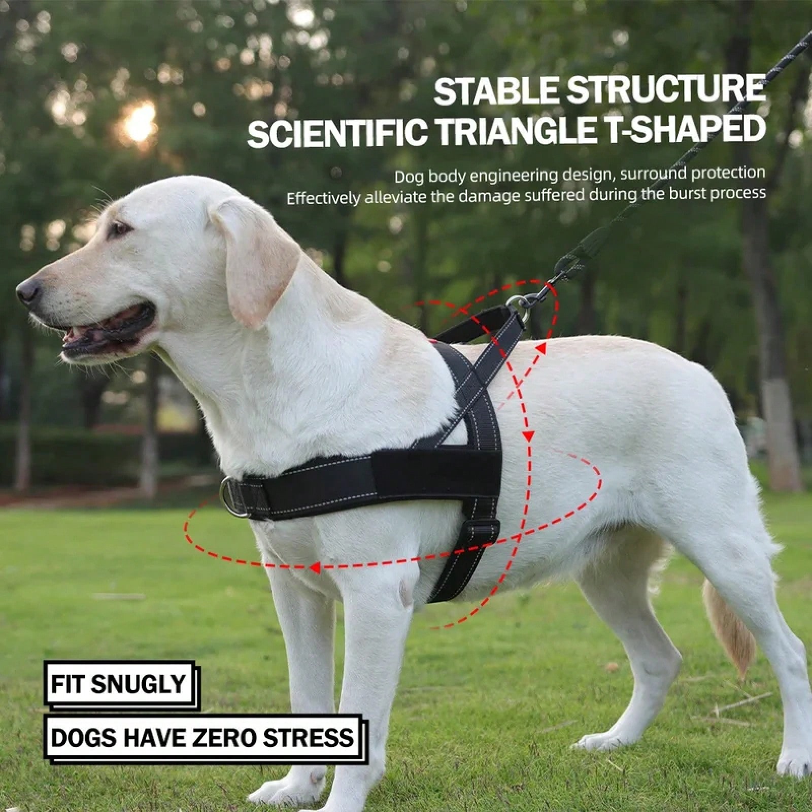 Heavy Duty No-Pull Dog Harness - огляд і ціна No Pull Dog Harness