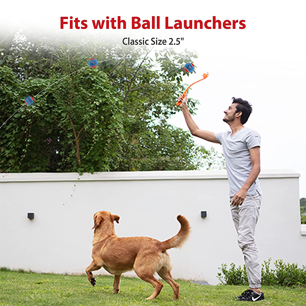 Pet Dog Squeaky Tennis Ball In - огляд і ціна Pet Supplies In Bulk