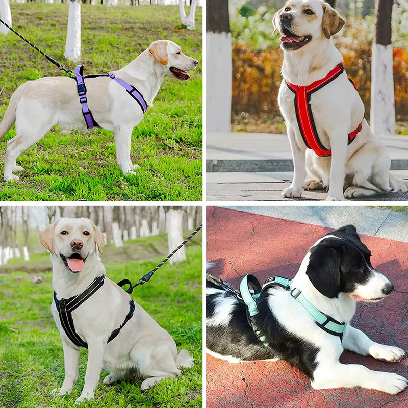 New Pet Dog Harness No-pull Do - огляд і ціна No Pull Dog Harness