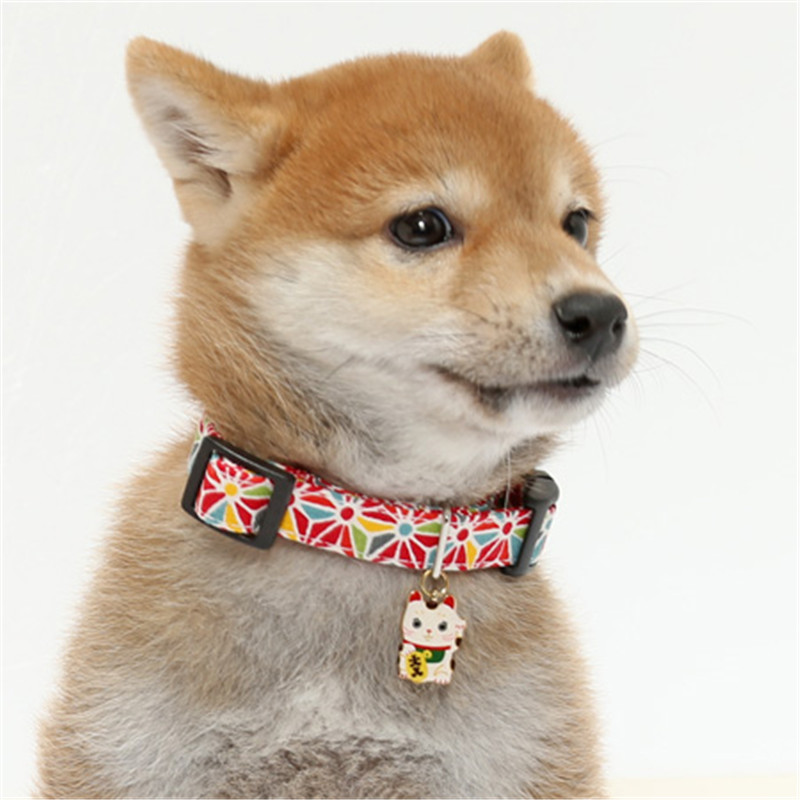 White Pig Store My Dog's Uniqu - огляд і ціна Pet Supplies In Store
