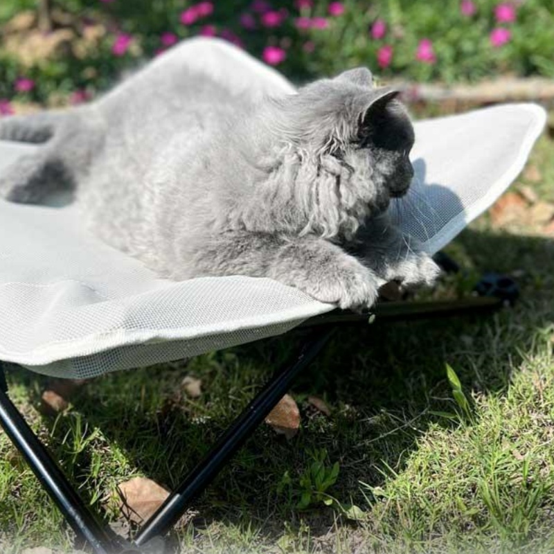 Pet Marching Bed Universal For - огляд і ціна Pet Supplies Application