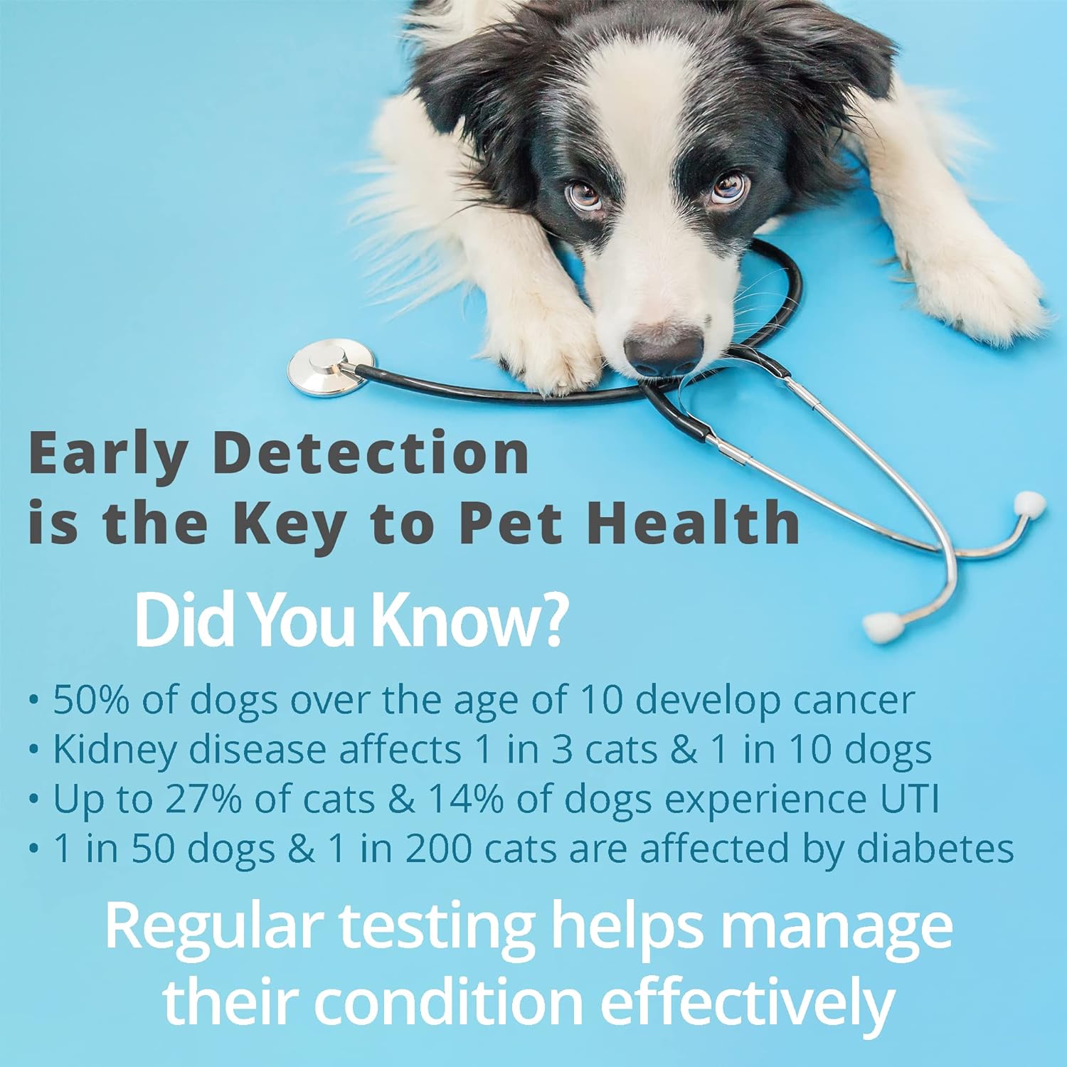 Pet Urine Testing Strips, 100  - огляд і ціна Pet Supplies Delivery