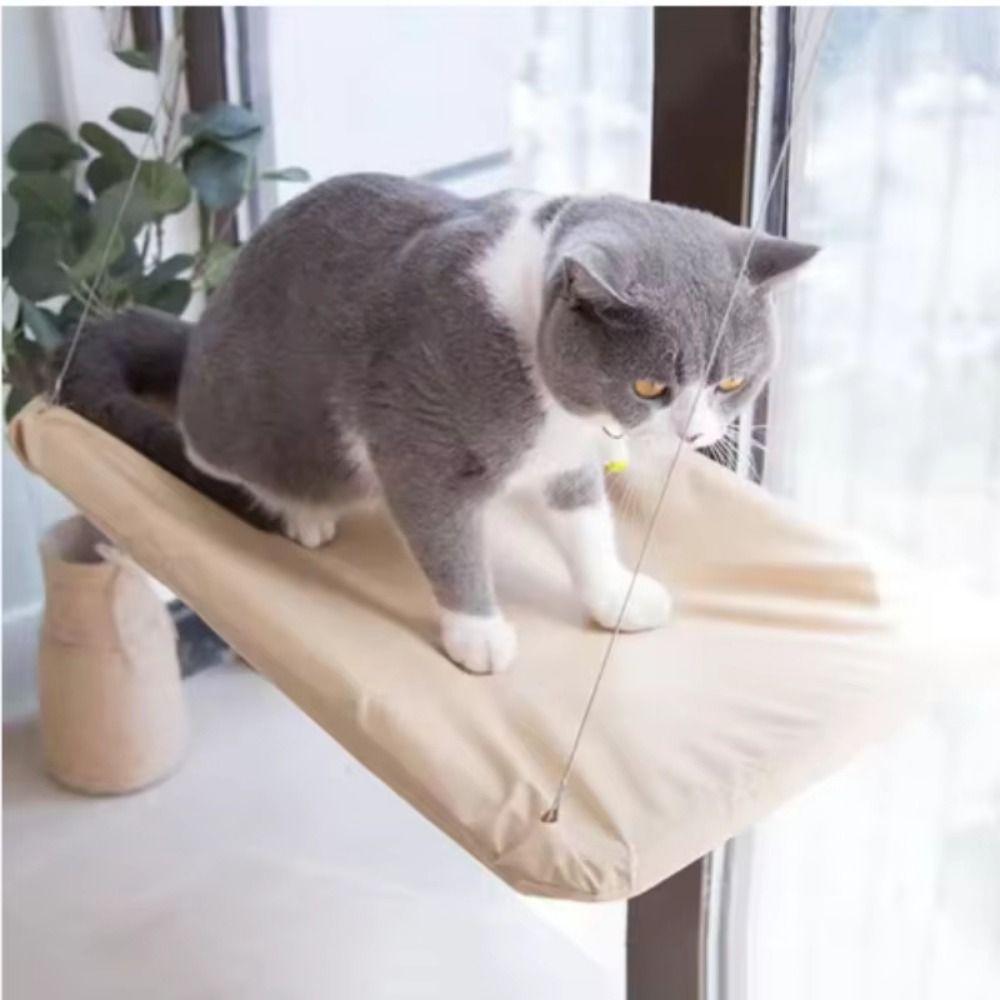 Multifunction Creative Cat Han - огляд і ціна Pet Supplies Delivery