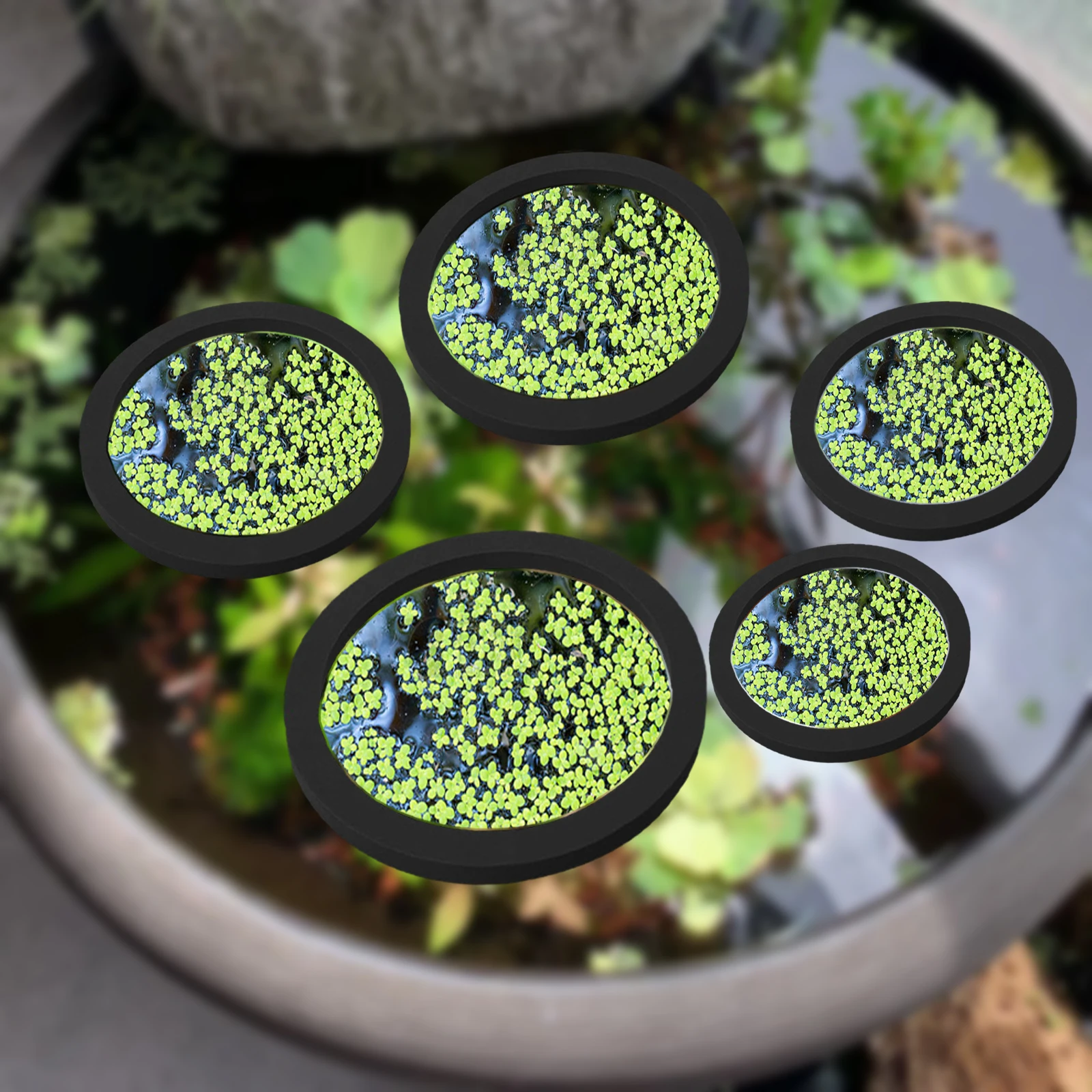 5Pcs EVA Fish Feeding Ring Aqu - огляд і ціна Aquarium Fish Tank