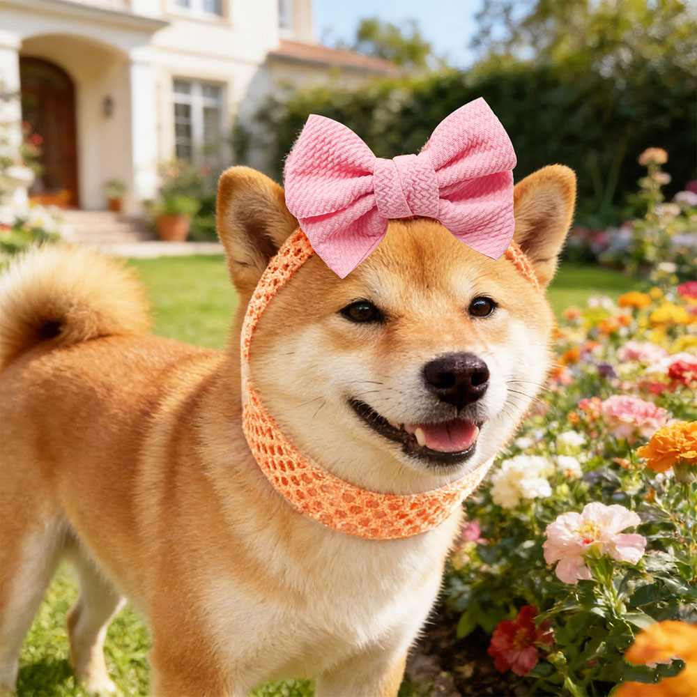 50PCS Dog Bows Elastic Bands C - огляд і ціна Pet Supplies Wholesale
