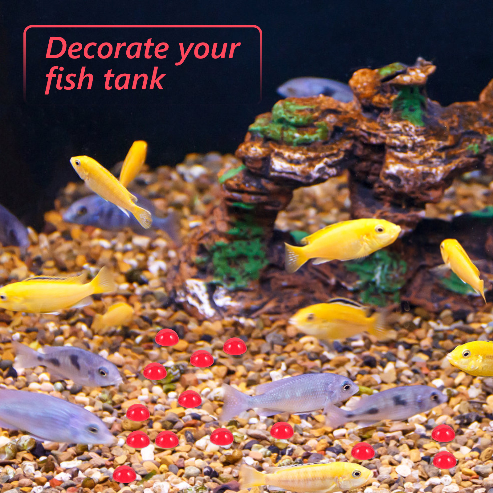 50Pcs Red Flat Bottom Glass Be - огляд і ціна Aquarium Fish Tank