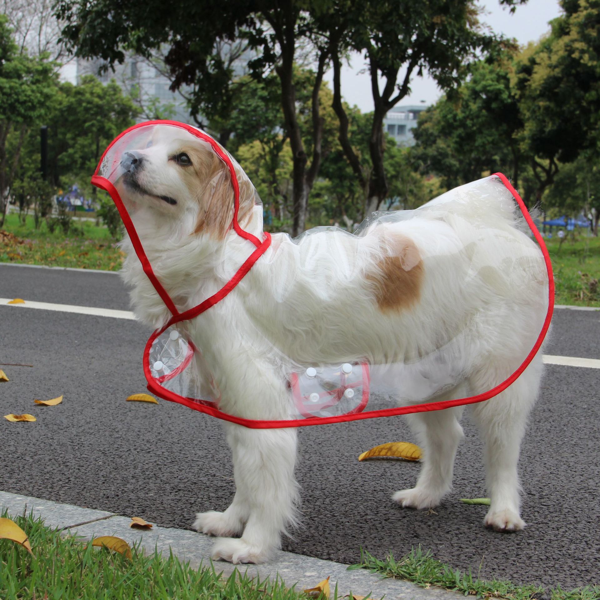 Xs-8XL Fashionable Pet Dog Clo - огляд і ціна Dog Raincoat