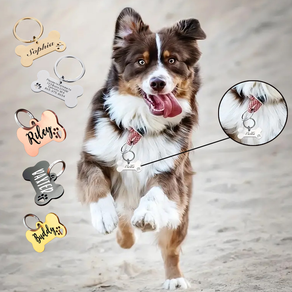 Custom Stainless Steel Pet ID  - огляд і ціна Pet Supplies Wholesale