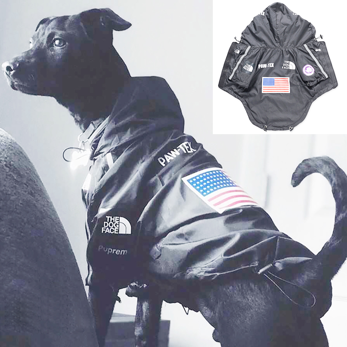 Pet Dog Waterproof Coat Dog Ra - огляд і ціна Dog Raincoat