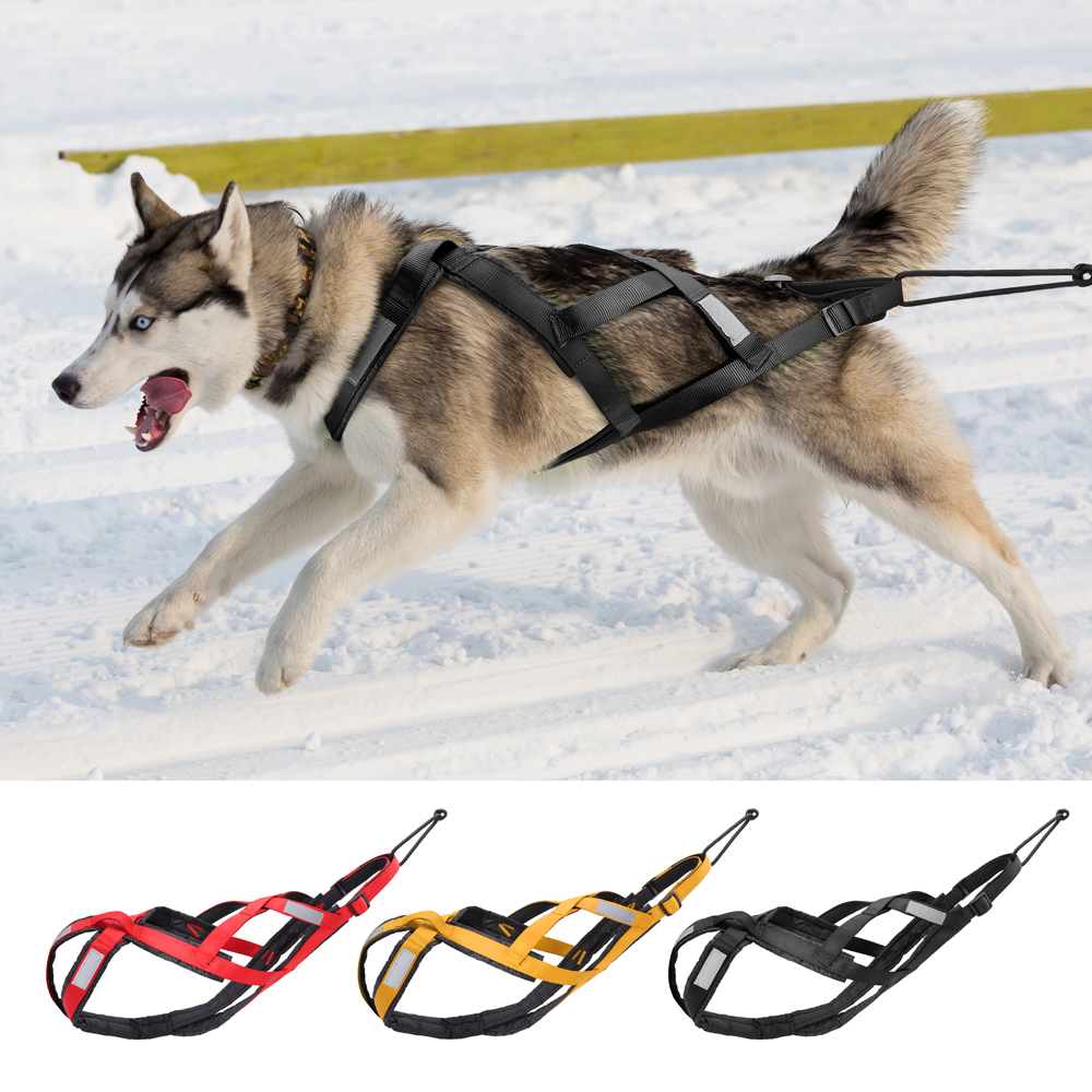 Waterproof Dog Sled Pulling Ha - огляд і ціна No Pull Dog Harness