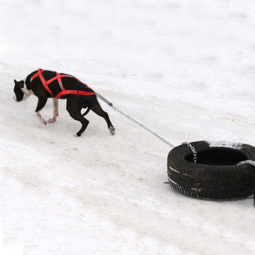 Waterproof Dog Sled Pulling Ha - огляд і ціна No Pull Dog Harness