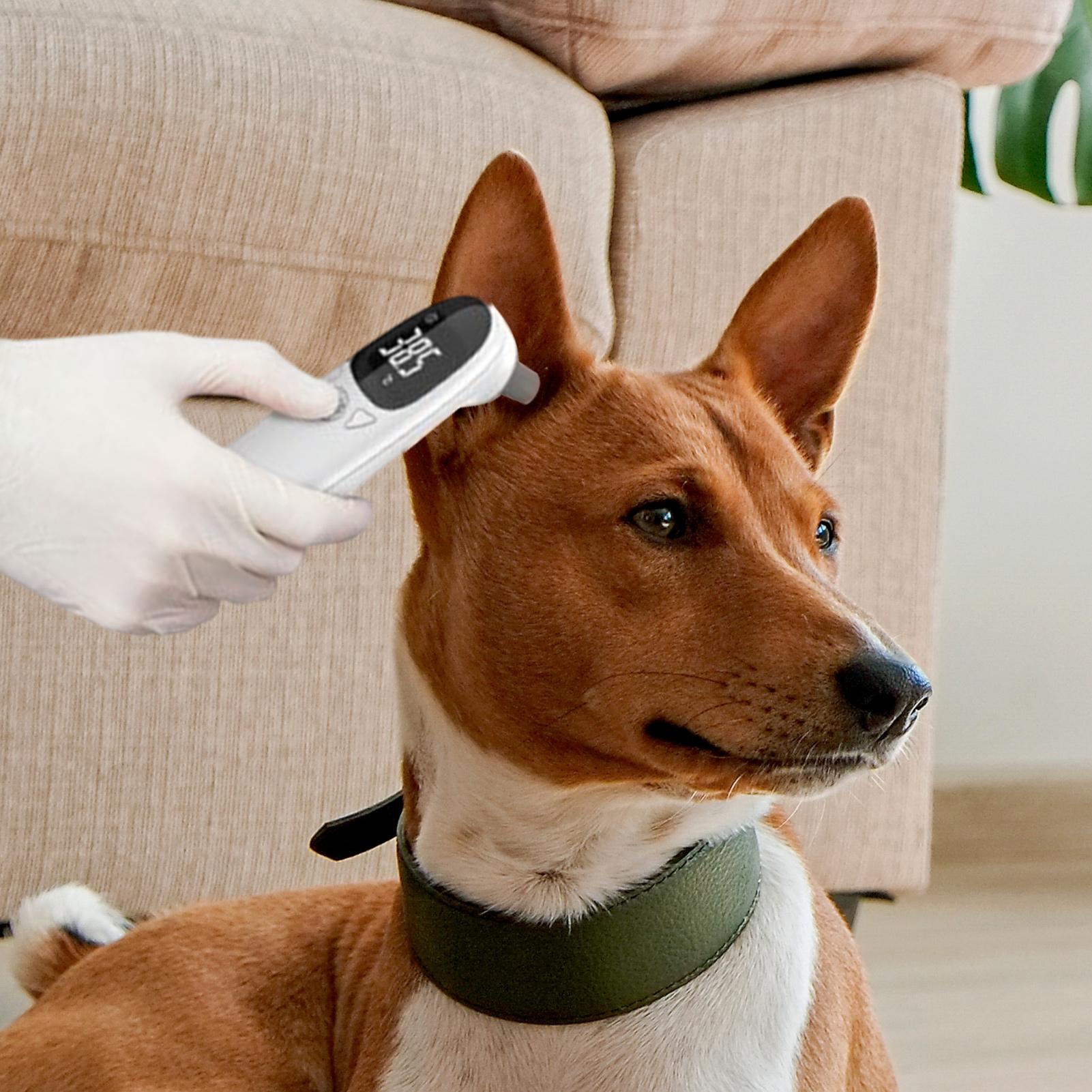 Dog Cat Ear Thermometer Medica - огляд і ціна Pet Supplies In Bulk