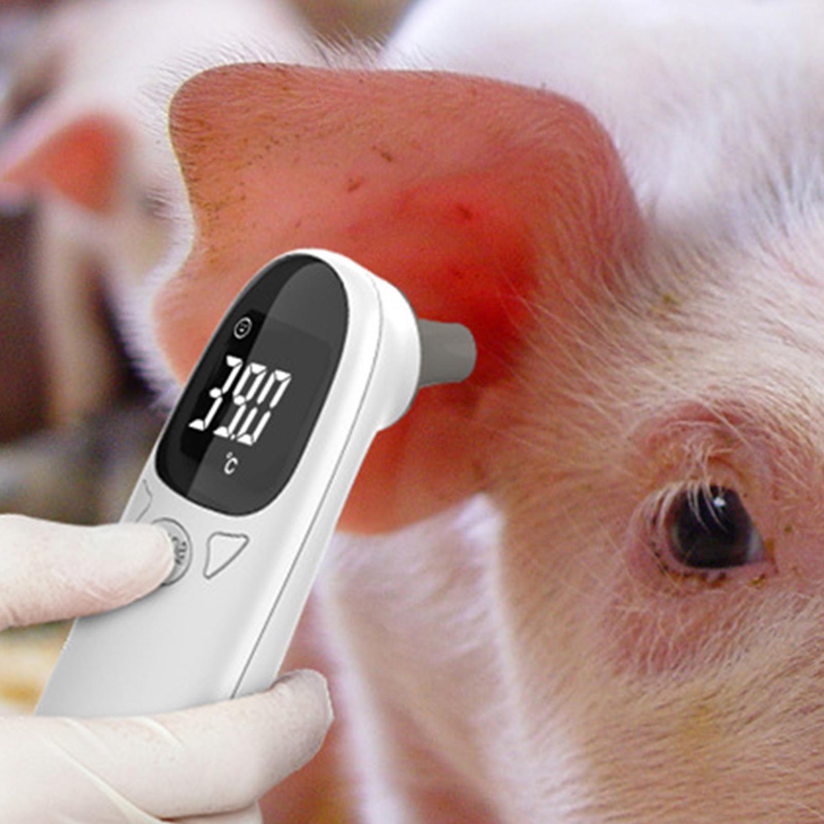Dog Cat Ear Thermometer Medica - огляд і ціна Pet Supplies In Bulk