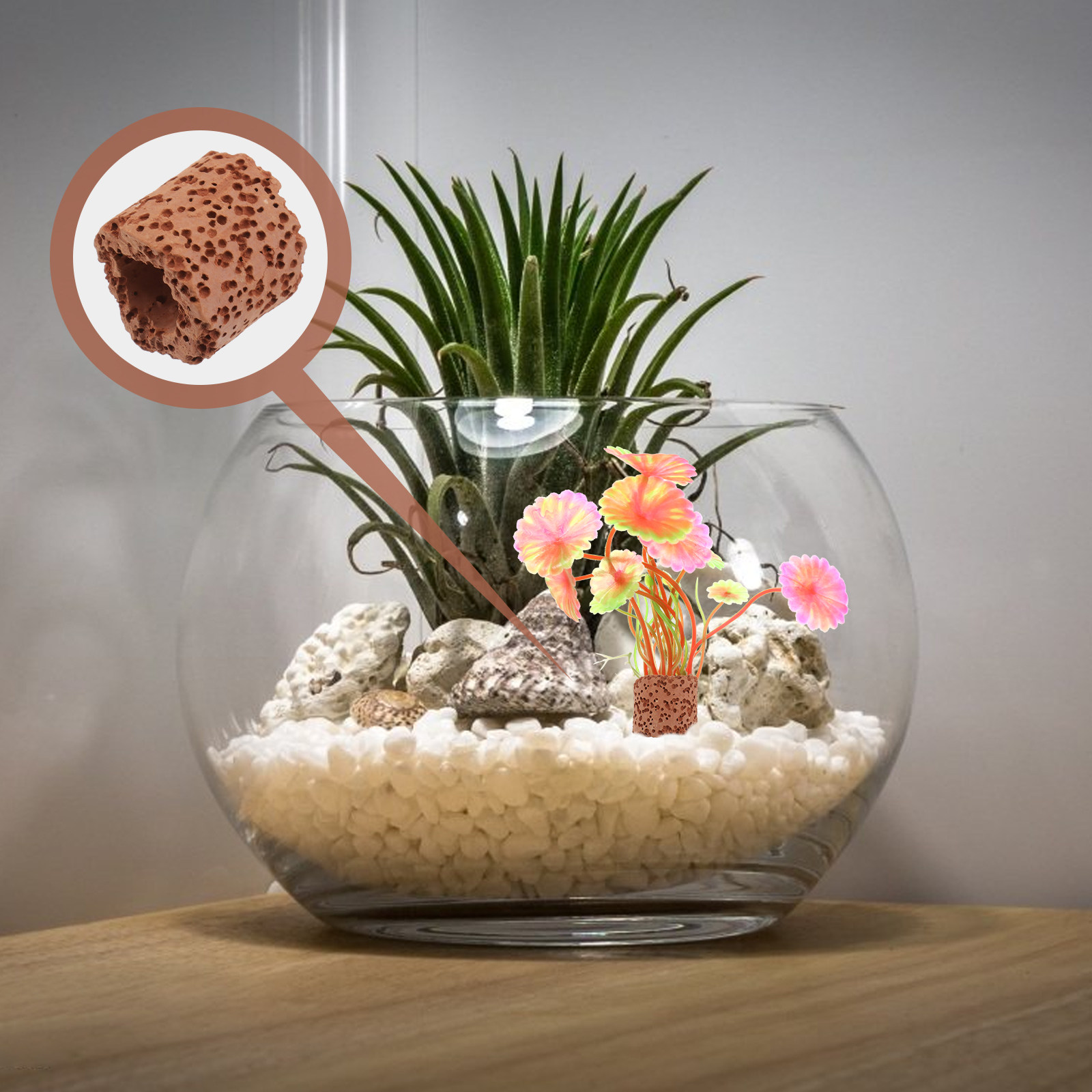10Pcs Sturdy Water Plant Fixed - огляд і ціна Aquarium Fish Tank