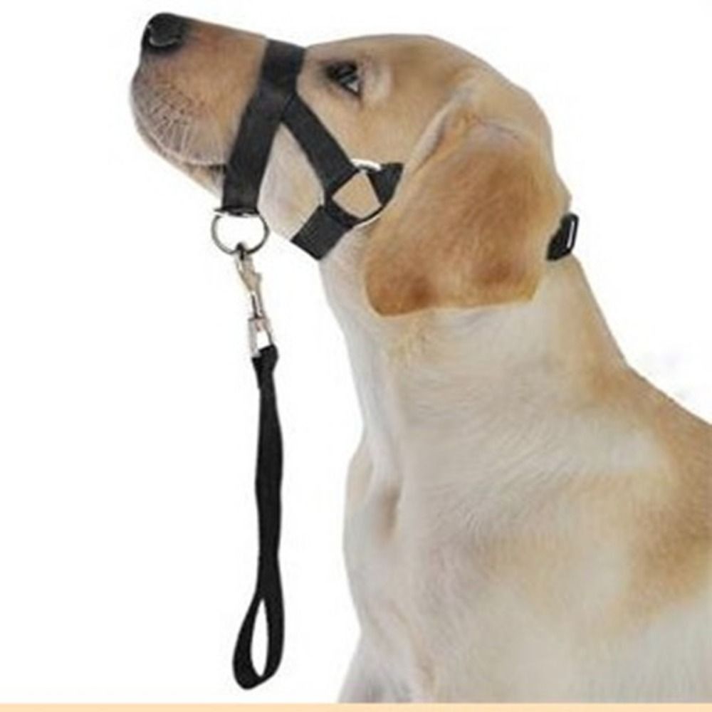 Adjustable Anti barking Non Pu - огляд і ціна No Pull Dog Harness