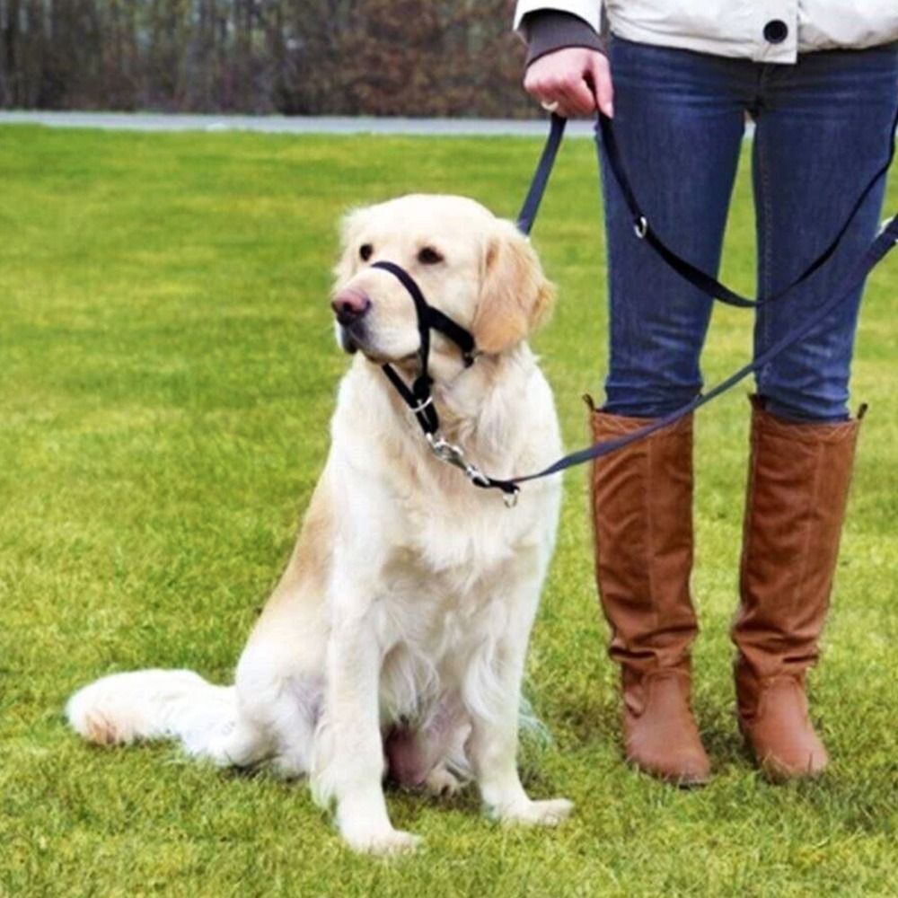 Adjustable Anti barking Non Pu - огляд і ціна No Pull Dog Harness