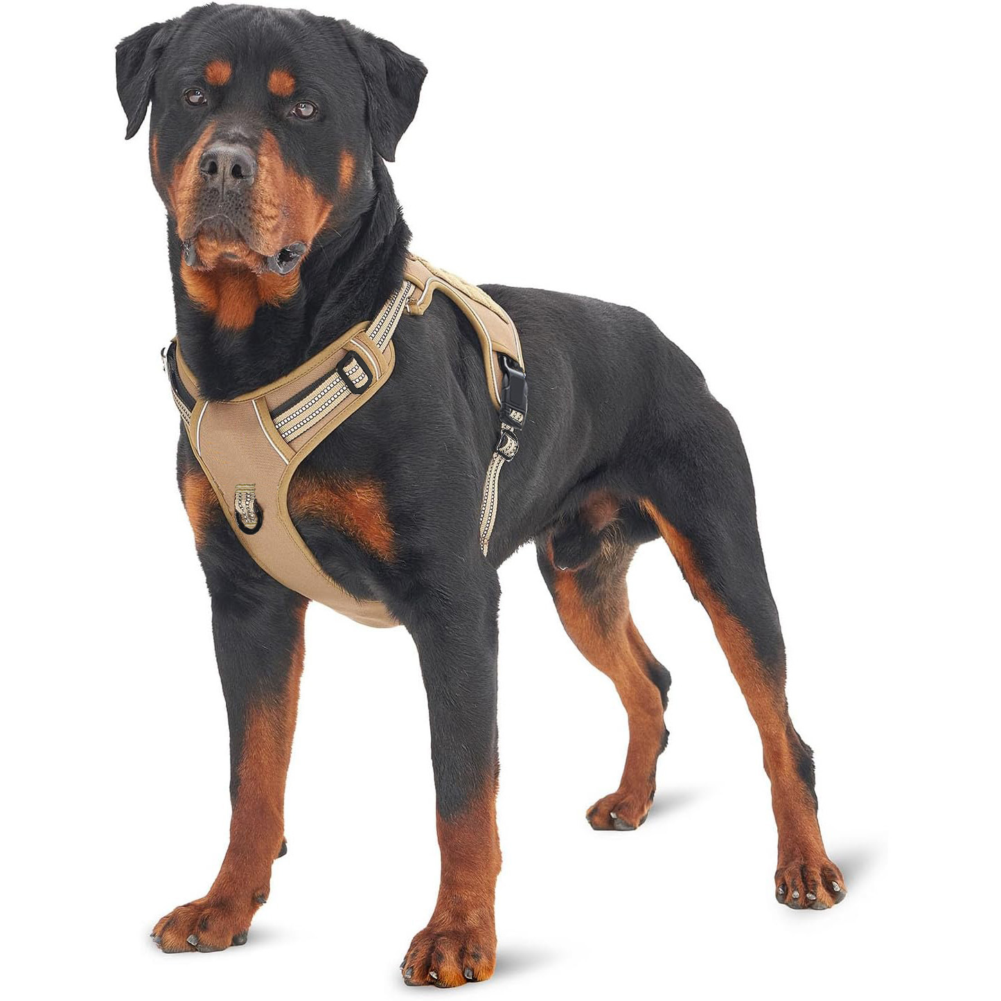 Military Tactical Dog Harness  - огляд і ціна No Pull Dog Harness