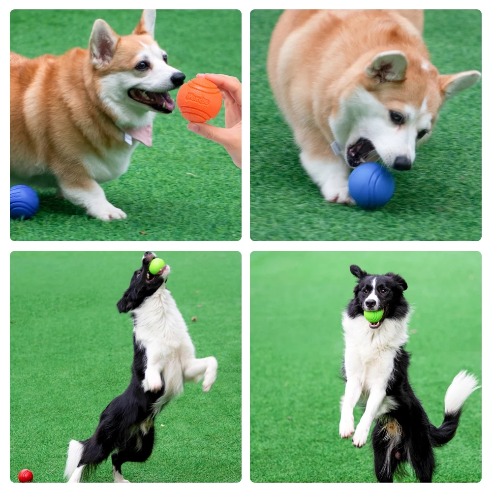 Pet Dog Toys Dog Ball Dog Boun - огляд і ціна Pet Supplies In Bulk