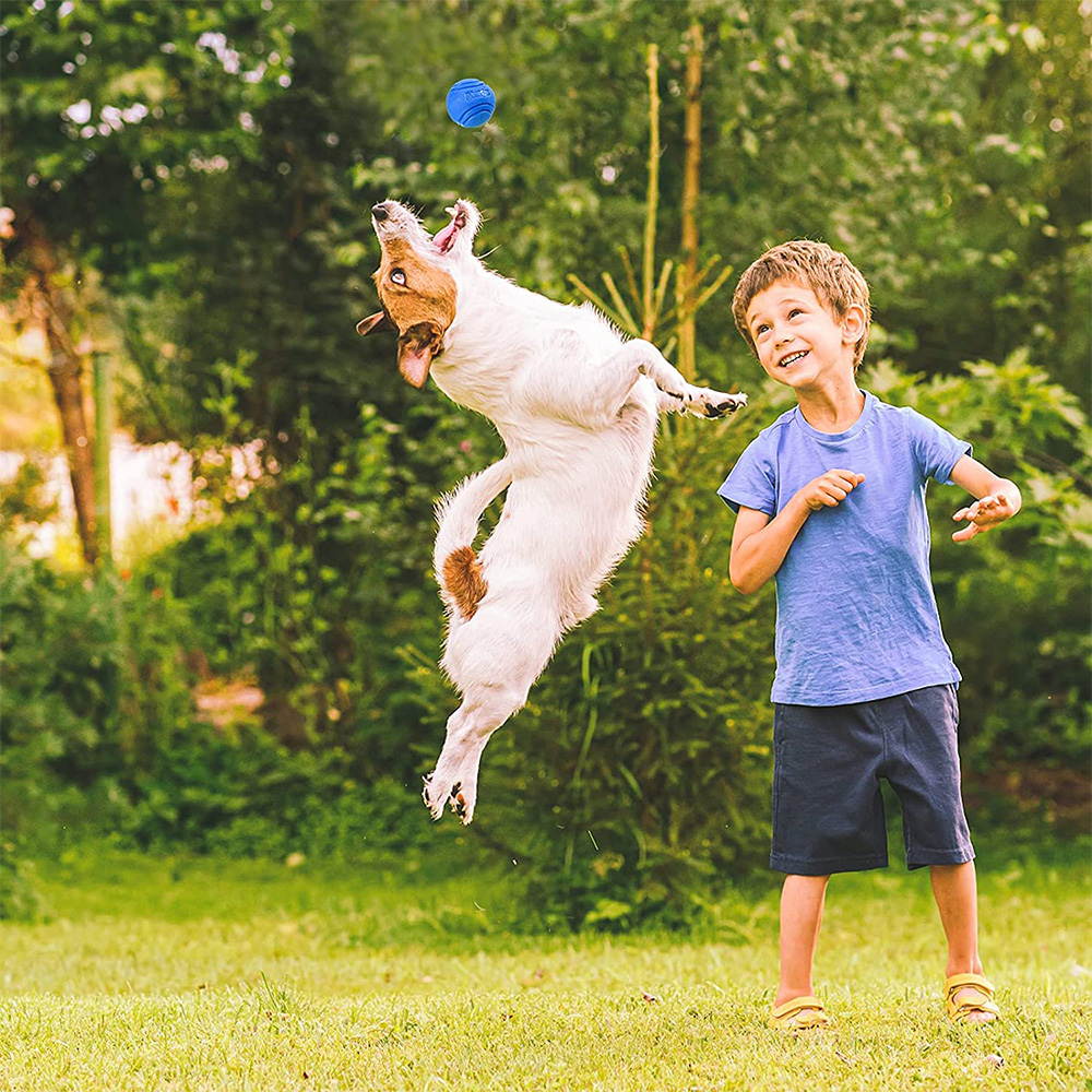 Pet Dog Toys Dog Ball Dog Boun - огляд і ціна Pet Supplies In Bulk