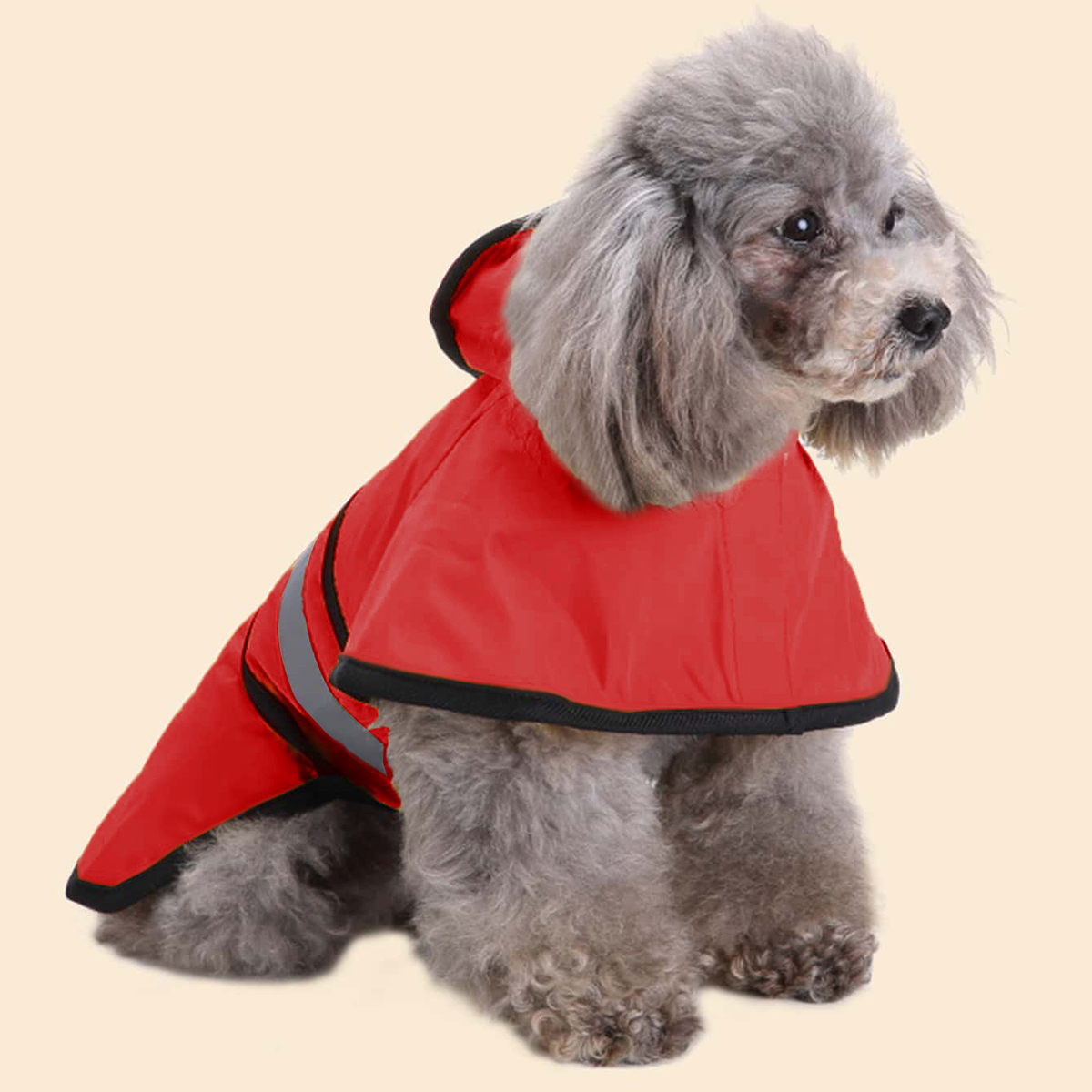 Spring Summer Waterproof Refle - огляд і ціна Dog Raincoat