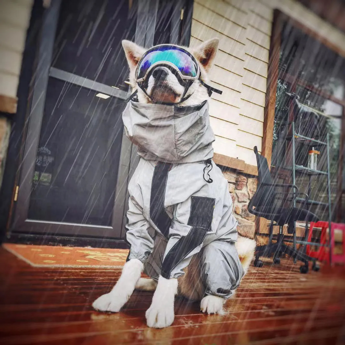 Outdoor Large Dog Raincoat Sun - огляд і ціна Dog Raincoat